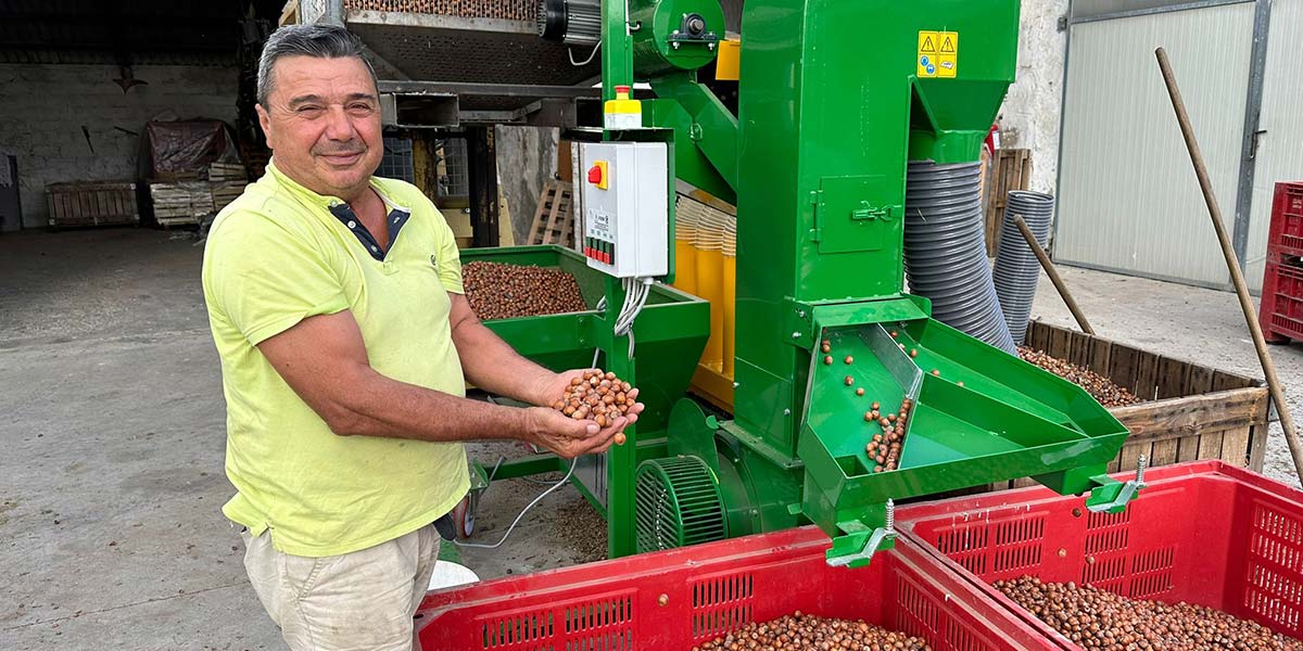 Nocciole, buon bilancio in Polesine e prezzi in rialzo